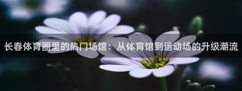 betway西汉姆