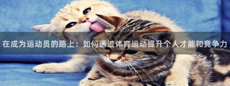 betway西汉姆联