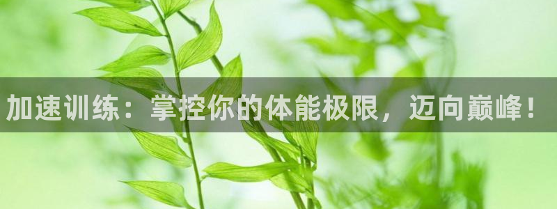 必威betway西汉姆联