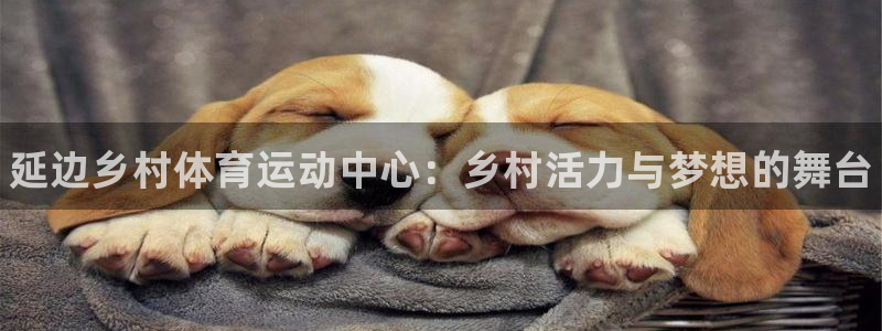 betway西汉姆联官网
