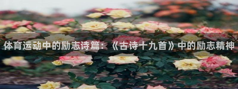 betway西汉姆