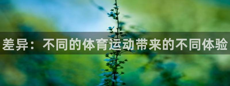 必威betway西汉姆联