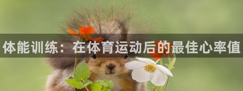betway西汉姆联官网