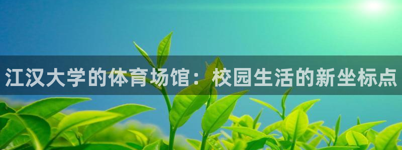 betway西汉姆联