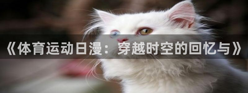 betway西汉姆官网