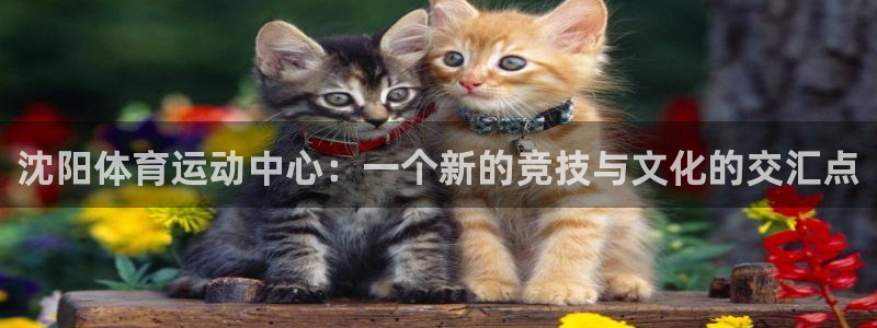 betway西汉姆联