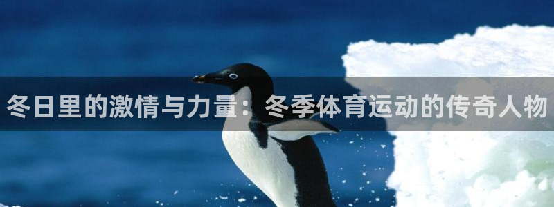 必威betway西汉姆联