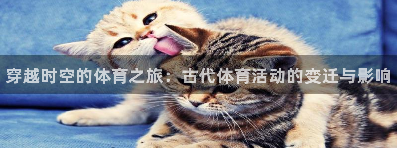 betway西汉姆