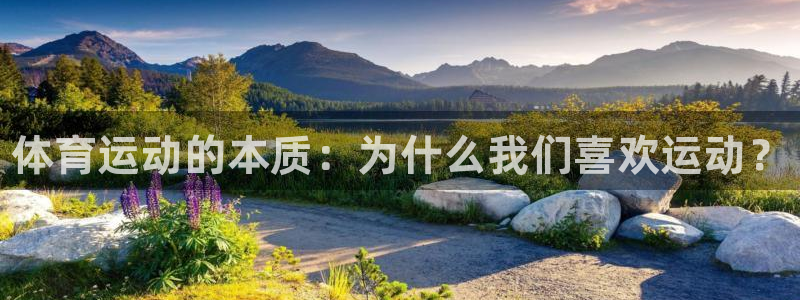 betway西汉姆联官网