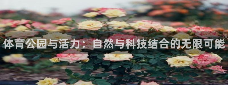 betway西汉姆官网