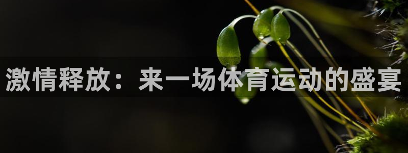 betway西汉姆联官网