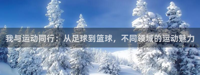 betway西汉姆联官网