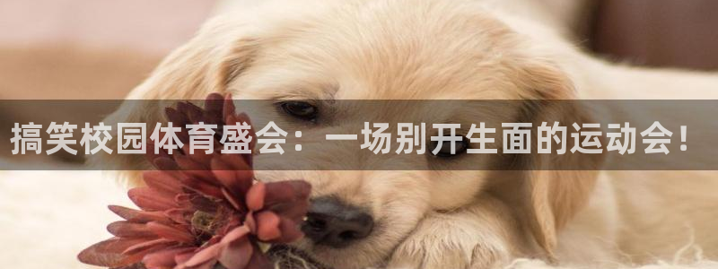 betway西汉姆联