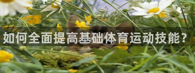 betway西汉姆