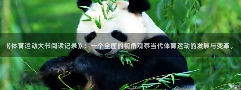 必威betway西汉姆联