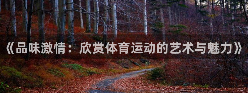 betway西汉姆联