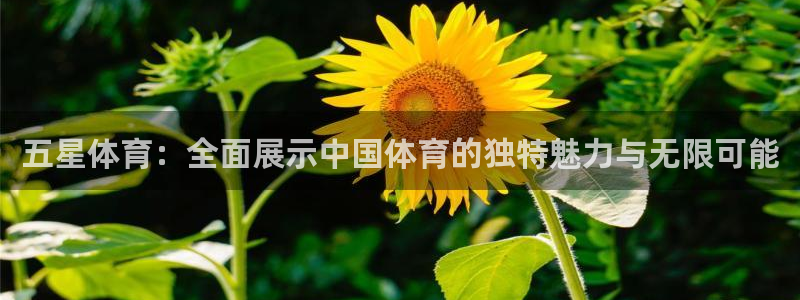 betway西汉姆官网